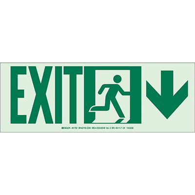 Exit with Down Arrow - Hi-Intensity Photoluminscent Signs (10Pk)