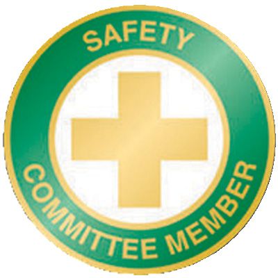 Safety Recognition Pin