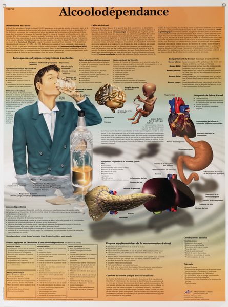 Poster de formation prévention de l'alcoolisme