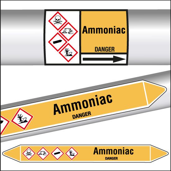 Marqueurs de tuyauterie CLP Ammoniac