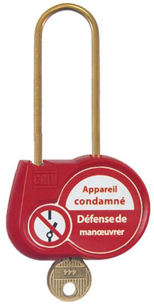 Cadenas de condamnation clé standard anse Ø 4 mm H50 mm