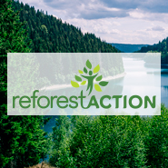 Partenariat avec Reforest’Action