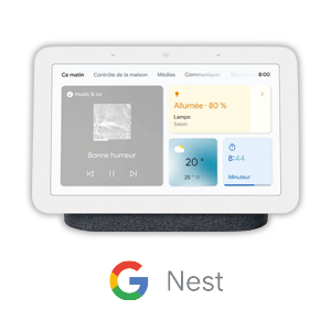 enceinte Google Nest