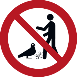 Vorlage: Symbol Tiere füttern verboten