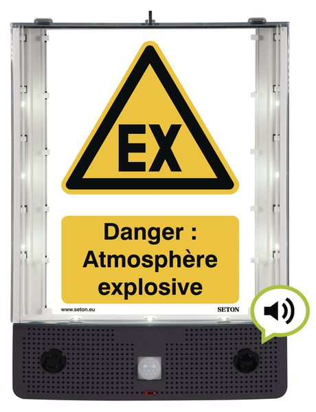 Panneau avertisseur sonore et visuel d'atmosphère explosive ATEX