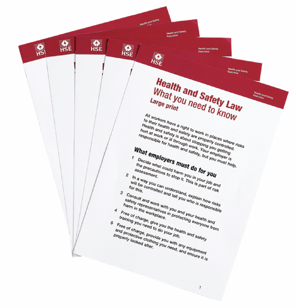 HSE Health & Safety Law Large Print Leaflet