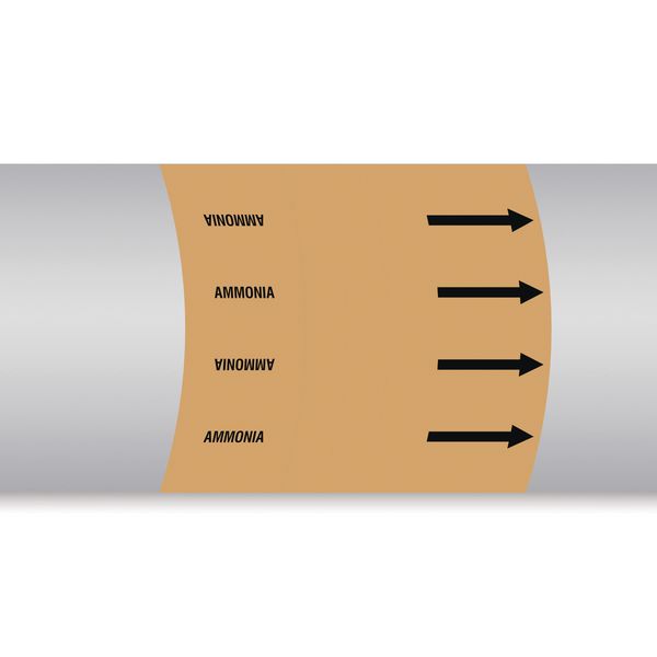 British Standard Pipe Marker- Ammonia